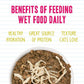 Weruva BFF Minced Natural Wet Cat Food, Tuna and Chicken 4 Eva in Gravy, 10oz Can, Pack of 12