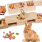 Interactive Wooden Pet Sniff n' Snack Rabbit Chew Toys - Chinchilla & Rabbit Enrichment Toys for Boredom (2 Set)
