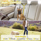 BWOGUE Pet Dog Cat Seat Belts, Car Headrest Restraint Adjustable Safety Leads Vehicle Seatbelt Harness (1 Pack)