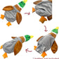 Jalousie 5 Pack Stuffingless Dog Squeaky Toys Dog Toy w/Durable Liner No Stuffing Dog Toy - Dog Toys Crinkle Paper Squeaker Toy for Medium Large Dogs (5 Pack - w/Bottle Insert Pouch)