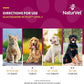 NaturVet Glucosamine DS Plus Level 2 Moderate Care Joint Support Supplement for Dogs and Cats, Chewable Tablets Time Release, Made in The USA, 240 Count
