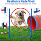 Dog Agility Course Backyard Set Dog Agility Equipment Obstacle Course Backyard Includes Adjustable High Hurdle,6 Weave Poles,Extended Tunnel,Jump Ring,Square Pause Box,2 Balls,Whistle,2 Carrying Bags