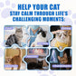 Just Try 300 Bites Calming Cat Treats for Relaxation - with Chamomile, L-Tryptophan, Melatonin for Cats– Chicken Flavor Calming Bites for Cats 6.35 oz
