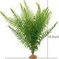 JIHAQUA Fake Fern Plants, Reptile Plastic Terrarium Decor, Reptiles Amphibians Tank Accessories for Crested Gecko Leopard Lizard Chameleon (Fern-L)