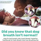 TropiClean Fresh Breath TripleFlex Toothbrush for Large Dogs | Use with TropiClean Toothpaste or Gel | 360-Degree Toothbrush | Complete Dental Care