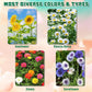 Indoor Daisy Garden Starter Kit, 4 Flower Seeds Growing into Shasta Daisy, Cornflower, Sunflower, Zinnia, Including Complete Gardening Tools, Christmas Gifts for Women Men & Beginners