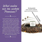 The Tea Spot Bolder Breakfast Tea with Dark Chocolate Flavoring | Blend of Black Tea, Pu’erh Tea, Calendula Flowers, Sunflower Petals, and Chocolate Flavoring | 15 Tea Bags