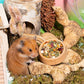 Niteangel Golden Hamster Food & Treats - Small Animal Natural Food for Syrian Golden Hamsters or Other Small-Sized Pets