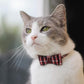 Puppy Collars for Small Dogs - StrawberryEC Adjustable Puppy Id Buckle Collar Leather. Cute Plaid Red Bowtie Dog Collar (Bow-Red)