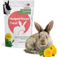 Snout and Shell Marigold Flower Treat for Small Pets – Organic, Healthy Digestive Support – Fun Foraging Snack for Rabbits, Guinea Pigs, Chinchillas, and More – 0.5 oz / 14g