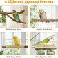 kathson 5pcs Natural Parrot Perch for Cage Wooden Bird Perches Grape Bird Stick Parakeet Climbing Standing Branches Toy Chewable Cage Accessories for Small Budgies Cockatiels