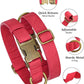 Didog Soft PU Leather Dog Collar, Stylish Quick Released Dog Collars for Small Dogs, Easy Clean Adjustable Pet Collar for Daily Walking, Red, S Fit 10-16" Neck