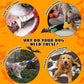Nocciola 5 PCS Halloween Dog Squeaky Toys, No Stuffing Plush Dog Toys with Crinkle Paper, Perfect Present for Puppy, Small, Medium and Large Dogs