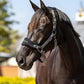 LeMieux Vogue Fleece Headcollar - Halter & Leadrope - Extra Padding, Adjustable at Curb and Poll Strap