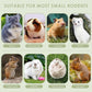 ERKOON Timothy Hay Sticks,Rabbit Chew Toys for Teeth Natural Molar Sticks Rabbits Treats for Bunnies, Chinchilla Guinea Pigs, Gerbil, Hamster (25 Pcs)