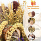 Natural Hamster Bedding, Hamster Herbs Flowers for Hamster Cage Enclosure Habitat Decor Hamster Sprays for Dwarf Syrian Guinea Hamsters Gerbil Degus or Other Small Animals（Grain Version）