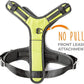 Mighty Paw Sport Harness 2.0 - Padded Canine Accessory - Adjustable Neck and Chest Straps - Enhanced Visibility with Reflective Stitching - Dog Padded Harness with Handle - Large - Green