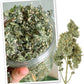 Meowijuana | Dried Catnip Buds Jar | Premium Organic Catnip | Grown in North America | Perfect for Cat Toys | Fresh Catnip for Extended Playtime | Elevate Your Cat's Enjoyment
