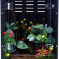 Reptile Enclosure for Crested Gecko – 12x12x18 Acrylic Reptile Tank for Gecko, Snake, and Lizard – PVC Terrarium for Small Pets