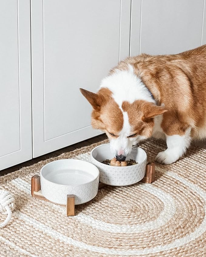 Dog Bowls Ceramic for Small Medium Dogs - 3-Cup Dual Food & Water Bowl Set with Acacia Wood Stand, Non-Slip Anti-Tip Elevated Design