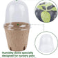 winemana 36 Set Plant Nursery Pots with Humidity Dome, Seed Starter Biodegradable Peat Pots, Seedlings Planting Pots with Labels for Indoor Outdoor Garden