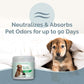 SMELLS BEGONE Air Freshener Odor Absorber Gel - 15 oz, Pack of 2 - Absorbs and Eliminates Odor in Pet Areas, Bathrooms, Cars, & Boats - Made with Essential Oils - Calming Rain Scent