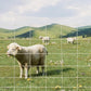 9GA Thickened Heavy Duty Cattle Farm Fence, 4ft x 164ft Galvanized Goat Deer Fence, Heavy Zinc Coating Hog Wire Fencing for Farm Livestock Animals Protection