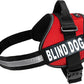 Doggie Stylz Blind Dog Harness No Pull No Escape Dog Vest for Blind Dogs Adjustable Vest with Handle Blind Dog Accessories and Patches for Training and Mobility