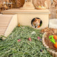 Niteangel Natural & Soft Hamster Bedding Mate Small Animal Habitat Decor for Syrian Dwarf Hamsters Gerbils Mice Degus Bunny or Other Small-Sized Pet