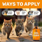 Cat Antibiotic to Help with Cough & Allergies – Antibiotics for Cats to Aid with UTIs and Digestive Moments – HIPS & Joints Support – Attractive Chicken Taste – 2 Oz Bottle