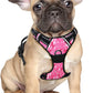 BARKBAY No Pull Dog Harness Large Step in Reflective Dog Harness with Front Clip and Easy Control Handle for Walking Training Running(Pink camo,S)