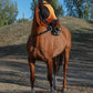 Horse Fly Mask with Ears, UV Protection Mask for Horses, Elasticity Mask with Big Mesh Eye Covers, Snug Fitting Comfortable Breathable Lightweight Red Orange Full Size