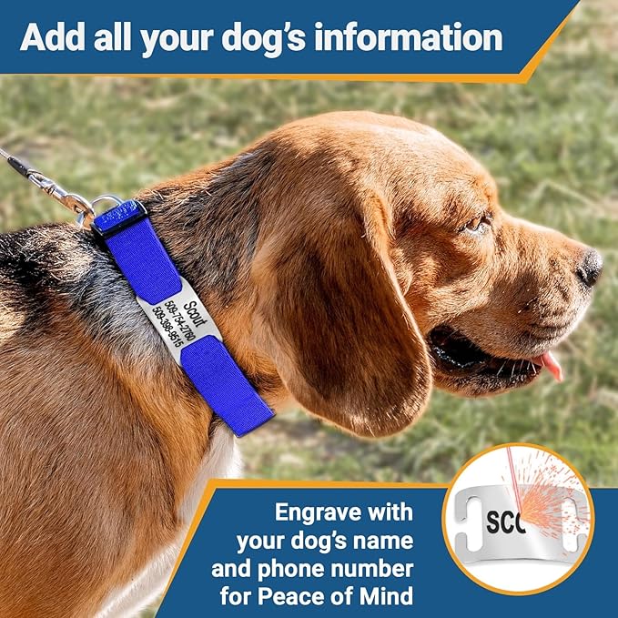 GoTags Personalized Dog Collar with Nameplate, Adjustable Dog Collar with Custom Engraved Slide On Pet ID Tag in Stainless Steel, Silent, No Noise Dog Tag (Light Blue, Large)