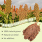 Fhiny Millet Spray for Birds, 3 PCS Natural Sun-Dried Red Sorghum Grain for Birds Seed Original Parrot Treats & Supplement Parakeet Food for Cockatiels Lovebirds Finches Budgies Pigeons Hamsters