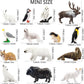 Toymany 14PCS Mini Arctic Animals Figurines Set, Polar Animals Toys with Polar Bear, Caribou, Penguin, Walrus, Wolf Figurines Cake Toppers Birthday Easter Gifts for Preschool Kids