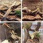 BNOSDM 2Pcs Reptile Climbing Branches Decor,Snake Climbing Branch,Gecko Climb Wood,Lizard Forest Branch,Tank Habitat Tree Trunk Decorations for Bearded Dragons,Chameleons,Spider,Frogs (M)