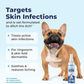 Vetnique Dermabliss Medicated Chlorhexidine Antiseptic Skin Spray for Dogs & Cats, Supports Skin Infections and Irritations 8oz