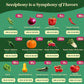 25 Gourmet Garden Vegetable Seeds Variety Pack - 14,965+ Non-GMO Heirloom Vegetables Seeds for Planting Indoor&Outdoor Home Garden Seeds - Gardening Seed Packets for Planting Vegetable Seeds