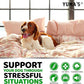 Hemp Calming Chews for Dogs - 240 Treats - Advanced Dog Calming Chews - Anxiety Relief Supplement Treats with Melatonin - Sleep Aid for Separation, Barking, Stress, Hip and Joint Support Made in USA