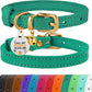 BRONZEDOG Leather Cat Collar with Removable Bells Non Breakaway Kitten QR Tag for Girl Boy (7" - 9" for Cats, Green & Gold)