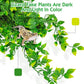 Hamiledyi Reptile Plants, 2 Pack Hanging Terrarium Plants Vines, Fake Amphibian Plants, Artificial Leaves Habitat Decorations with Suction Cup for Bearded Dragon Lizard Geckos Chameleon