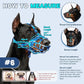 Basket Muzzle to Prevent Biting, Dog Muzzle for Large Medium Small Dogs Allows Panting Drinking Anti Chewing, Perfect for Grooming Trimming Training and Aggressive Reactive Dogs (Blue, Size 6)