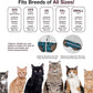 Bellyguard Cat Recovery Suit Female and Male, Comfy Onesie After Surgery, Kitten Clothes for Post-Op Care, Neuter and Spay Healing Outfits for Cats Only – Comfortable Kitten and Adult Cone Alternative