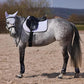 HORZE Adepto Padded All Purpose Quilted Equestrian Saddle Pad for Horses with Two-Tone Trim