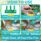 Flea and Tick Prevention for Dogs, 6-Month Supply Dog Flea and Tick Treatment Drops, Topical Fast-Acting Dog Treatment for Medium Dogs Up to 23 to 44 lbs