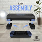 Aerobic Stepper Set with Dumbbells & Measuring Tape, Adjustable Height 2 Level Risers Workout Exercise Step Platform, 4 Colors, the Ultimate Gift for a Joyful Holiday and Merry Christmas