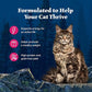Blue Buffalo Wilderness Natural High-Protein Grain-Free Wet Food for Adult Cats, Salmon Paté, 5.5-oz. Cans, 24 Count