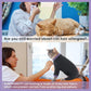 PUMYPOREITY Sticky Hair Cat Clothes, Prevent Hair Loss Cat Pajamas, Soft Cat Sweaters for Cats Only, Cat Hair Sticky Onesie, Cat Recovery Suit After Surgery, Black, XL