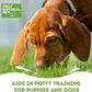 ONLY NATURAL PET No Marking Deterrent Spray for Dogs – Indoor Outdoor Urine Prevention - Stain & Odor Eliminator - Potty Pet Training Aid to Deter Peeing or Marking Carpet or Furniture – 32 Fl Oz