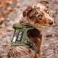 rabbitgoo Dog Harness for Large Dogs No Pull, Tactical Service Pet Vest with Molle and Control Handle, Adjustable and Reflective Military Harness for Easy Walking and Training, Red, XL